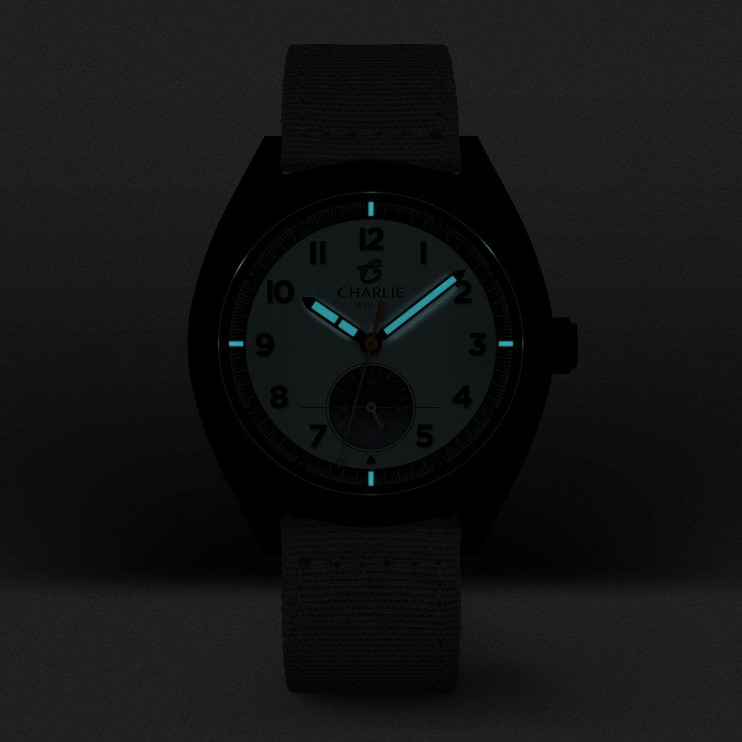 GRX - 24h - EVO-III