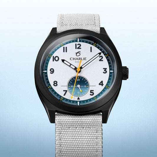 GRX - 24h - EVO-III